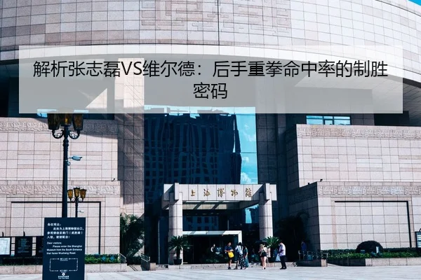 解析张志磊VS维尔德：后手重拳命中率的制胜密码